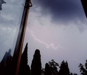 Low angle view of lightning over silhouette trees