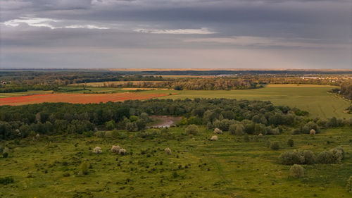 environment