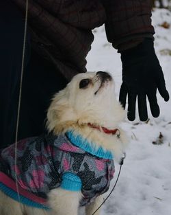 Man with dog on snow during winter