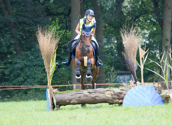 Rider with horse jumping over log on field