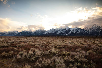 Scenic view of snowcapped mountains against sky