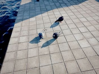 High angle view of people walking on footpath by swimming pool