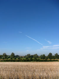 Scenic view of agricultural field against blue sky