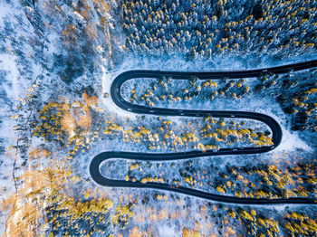 Aerial view of road amids forest