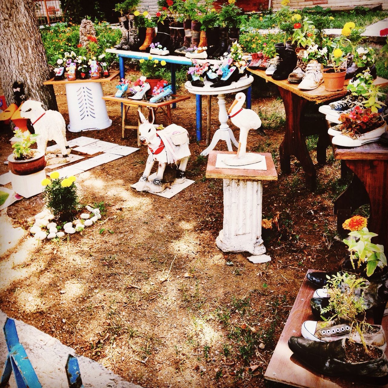 potted plant, high angle view, plant, flower, growth, variation, sunlight, flower pot, built structure, day, no people, outdoors, front or back yard, architecture, freshness, house, wall - building feature, table, decoration, nature