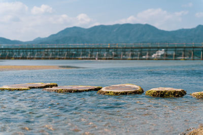 View of turtle in sea against mountains