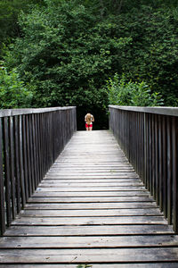 Rear view of person standing on footbridge