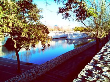 View of river with trees in background