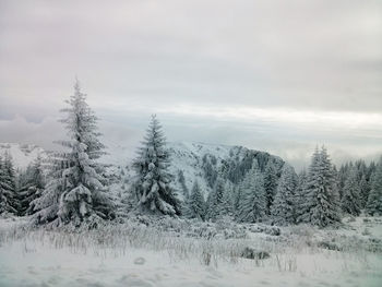 Snow covered landscape against cloudy sky