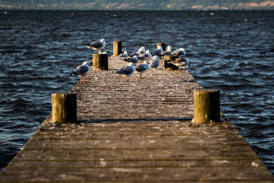 Wooden jetty on pier by sea against sky