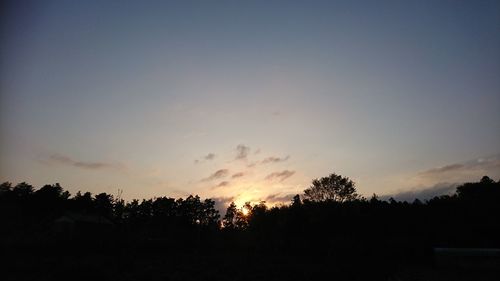 Silhouette trees against sky during sunset