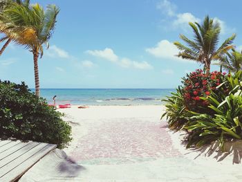 Scenic view of sea against sky