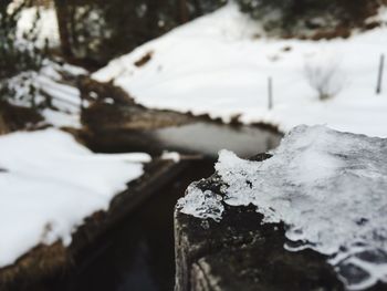 Close-up of snow on rock