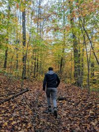 Rear view of man walking in forest