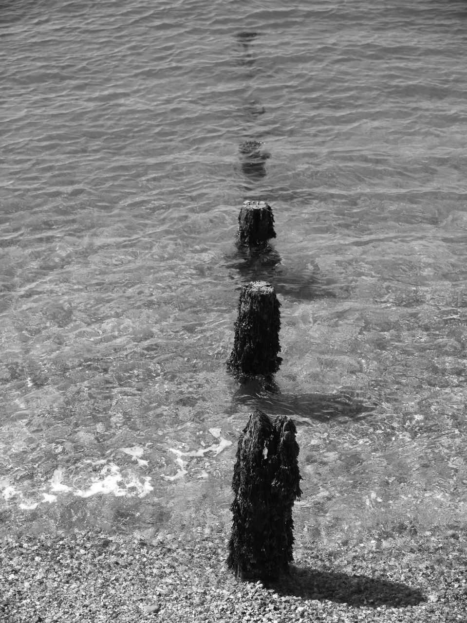 HIGH ANGLE VIEW OF MAN ON SEA