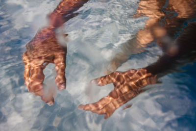 Low section of people in swimming pool