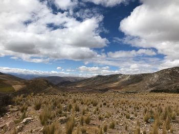 Scenic view of landscape against sky