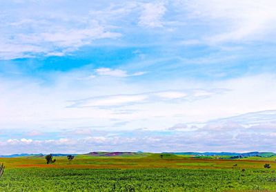 Scenic view of field against cloudy sky