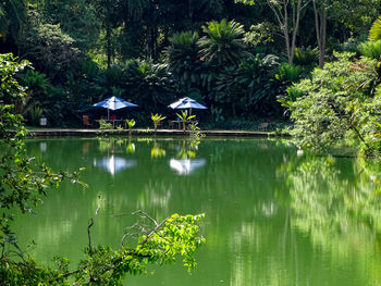 Scenic view of lake with palm trees in foreground