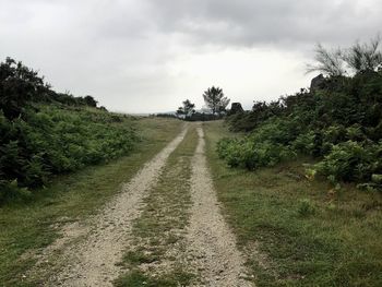 Auf dem camino del norte in galicien