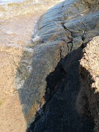 High angle view of rocks in water