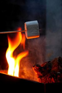 Close-up of marshmallow being prepared on bonfire