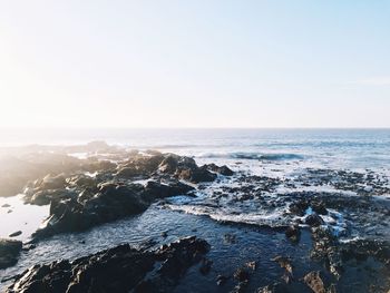 Scenic view of sea against clear sky