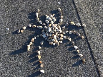 Full frame shot of coins on beach