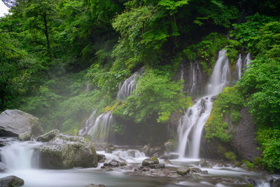 Scenic view of waterfall in forest