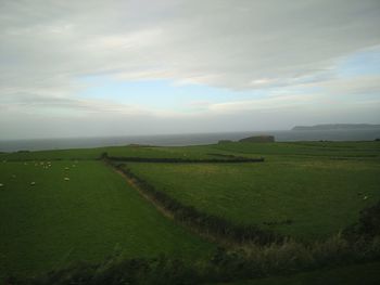 Scenic view of agricultural field against sky