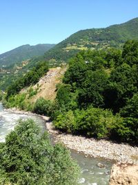 Scenic view of river amidst trees against sky