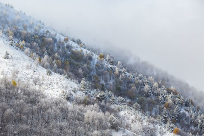 Scenic view of snow covered land