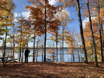 Rear view of man standing by trees in forest during autumn