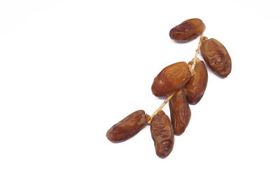 Close-up of coffee beans against white background