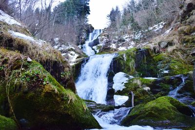 Scenic view of waterfall in forest