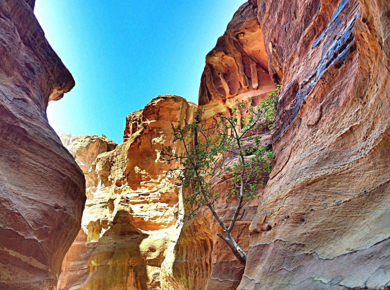 rock formation, eroded, tranquility, geology, tranquil scene, rock - object, physical geography, nature, beauty in nature, rock, scenics, mountain, rocky mountains, cliff, clear sky, rough, canyon, natural pattern, non-urban scene, tree