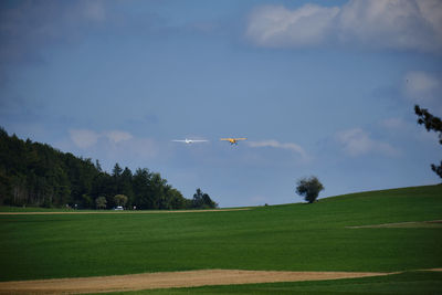 Airplane flying over grassy field against sky
