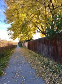 Road amidst trees against sky during autumn