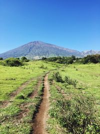 Scenic view of landscape against clear blue sky