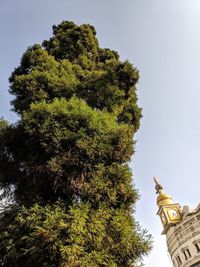 Low angle view of sculpture on building against sky