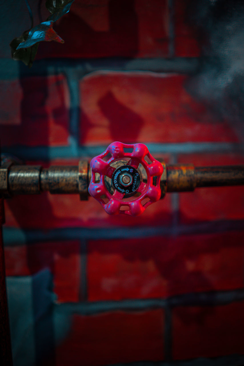 CLOSE-UP OF RED ROSES IN METAL