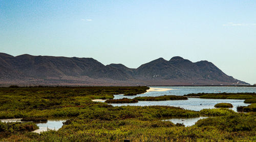 Scenic view of lake against clear sky