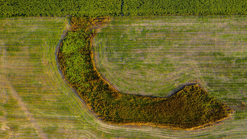 Scenic view of agricultural landscape