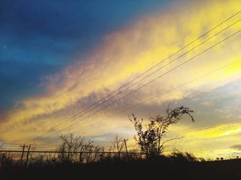 Low angle view of silhouette trees against sky during sunset