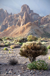 Scenic view of mountains