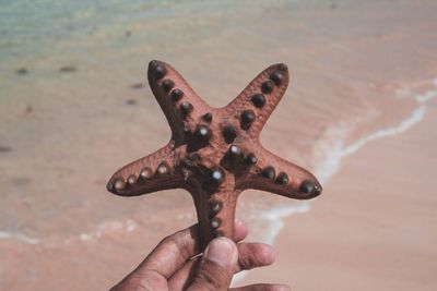 Close-up of human hand holding rock