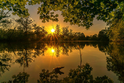 Silhouette trees by lake against sky during sunset