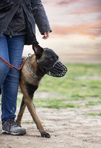 Low section of man with dogs on field