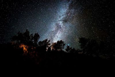 Low angle view of tree against star field at night