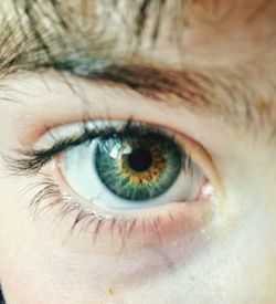 Extreme close up of human eye